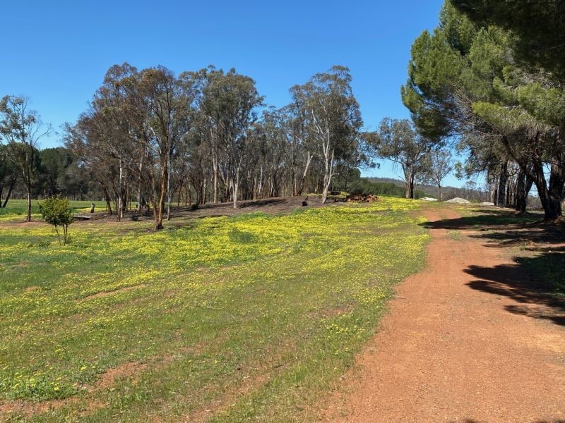 1502 Helena Rd, Mount Observation WA 6302