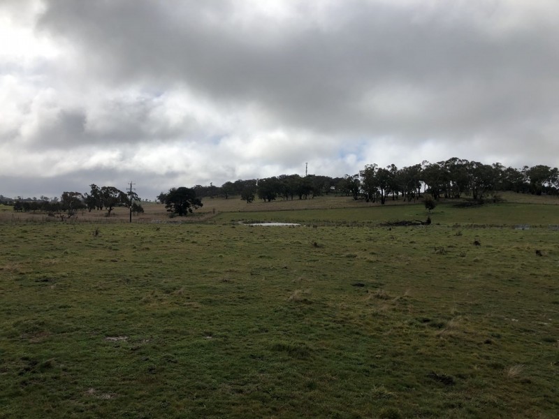 4 Showground Lane, Millthorpe NSW 2798