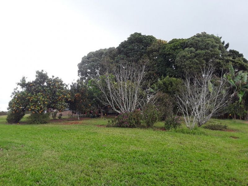 189 Fuller Road, Lake Eacham QLD 4884