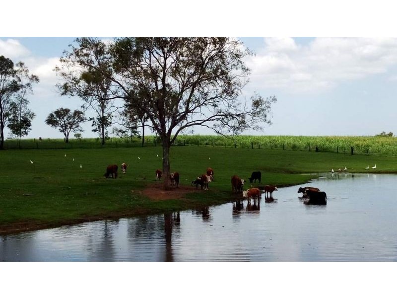 87 Kent Tobin Road, Maroondan QLD 4671