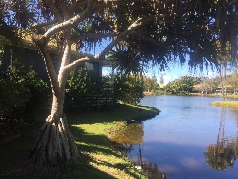 9/1 Shell Street, Urangan QLD 4655