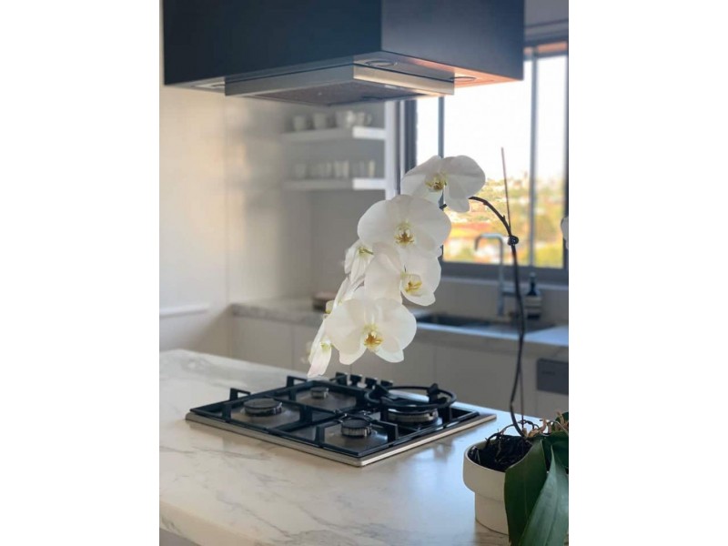 6/126 Murriverie Rd, North Bondi NSW 2026