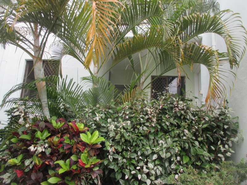 25/7 Hale Street, North Ward QLD 4810