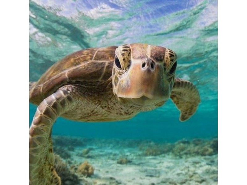 30 Zunker St, Burnett Heads QLD 4670