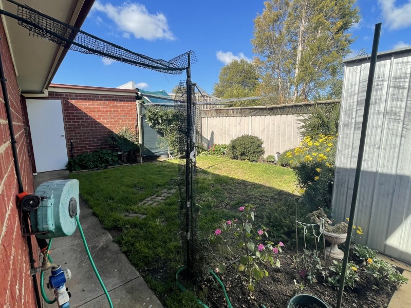 3/117 Shackell St, Echuca VIC 3564