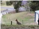 123 Valley drive, Tallebudgera QLD 4228