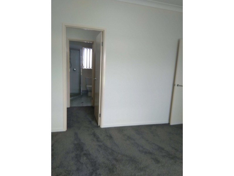 12 Bounty circuit, Eli Waters QLD 4655