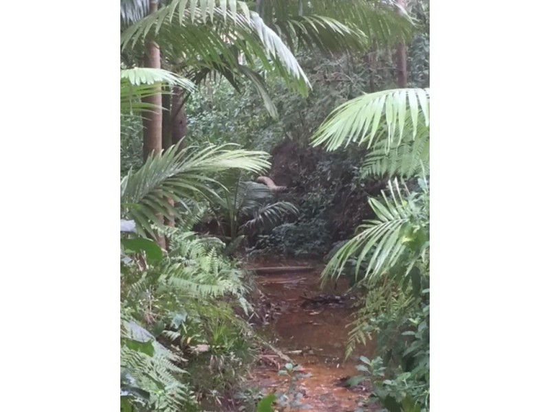 11A Hocking Street, Nambour QLD 4560