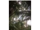 11A Hocking Street, Nambour QLD 4560