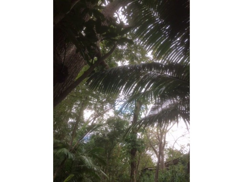 11A Hocking Street, Nambour QLD 4560