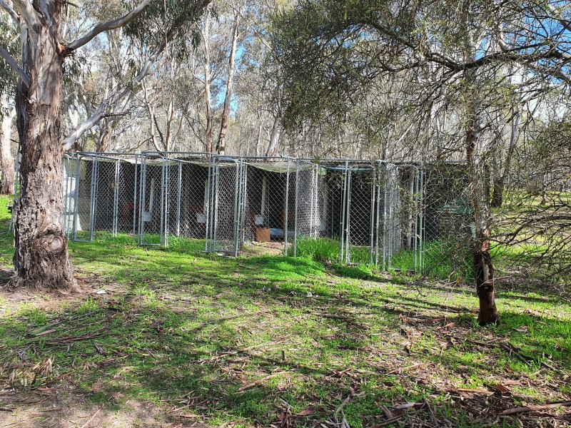 247 Joys Road, St Helens Plains VIC 3401