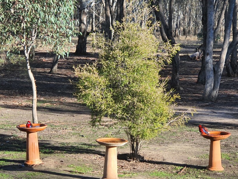 247 Joys Road, St Helens Plains VIC 3401