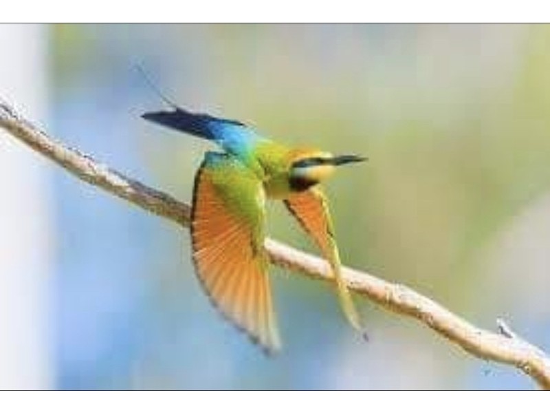 247 Joys Road, St Helens Plains VIC 3401