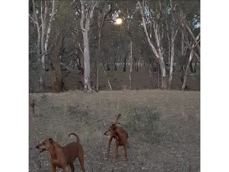 247 Joys Road, St Helens Plains VIC 3401