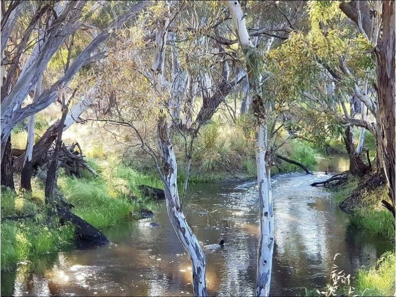 247 Joys Road, St Helens Plains VIC 3401