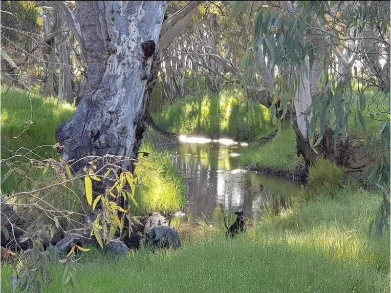 247 Joys Road, St Helens Plains VIC 3401