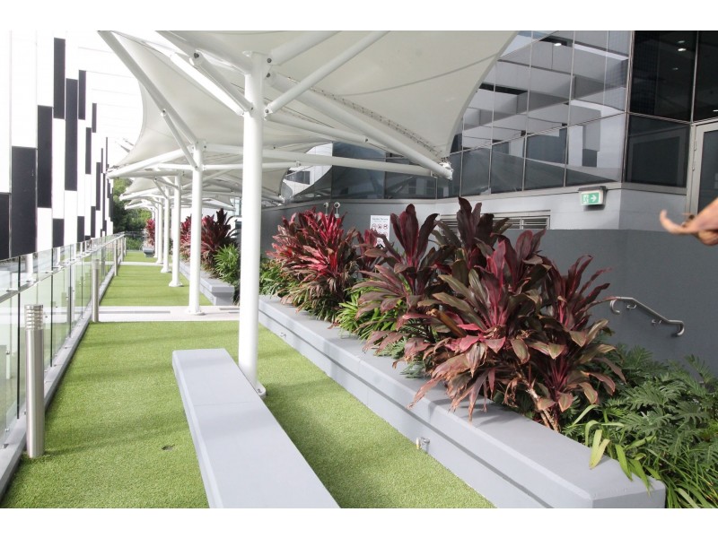 5203/43 Herschel Street, Brisbane City QLD 4000