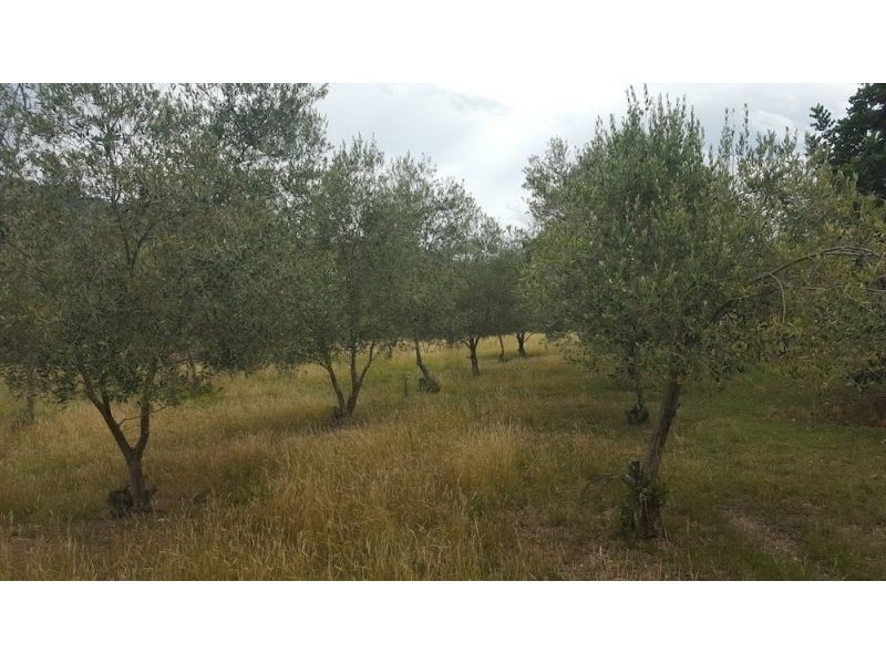 1 Charles St, Nundle NSW 2340