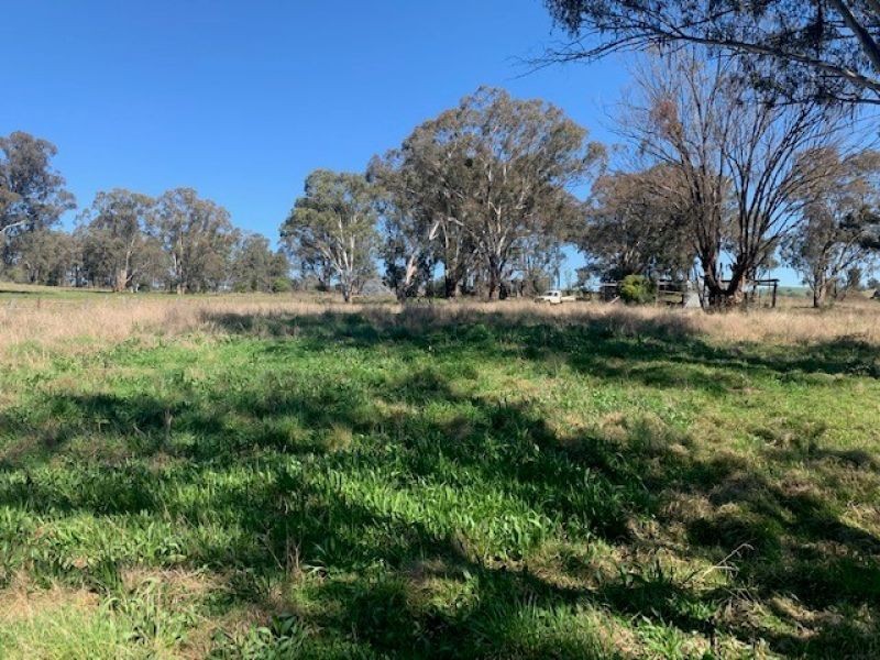 1 Charles St, Nundle NSW 2340