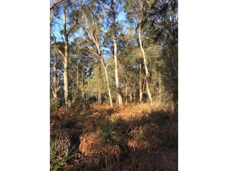 253 Old Bangor Tram Road, Mount Direction TAS 7252