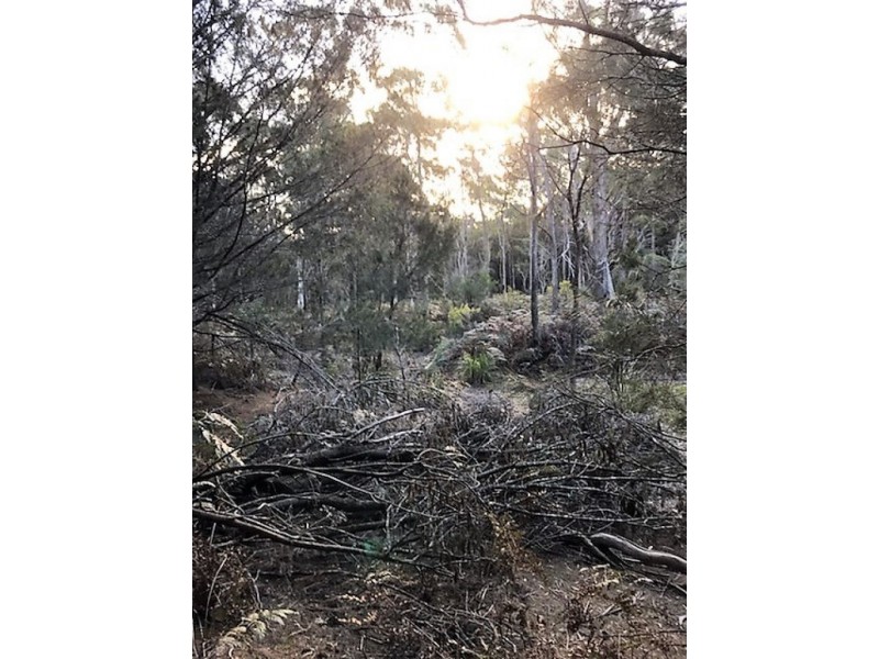 253 Old Bangor Tram Road, Mount Direction TAS 7252