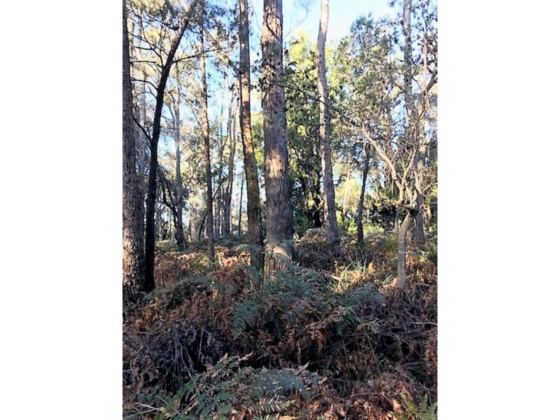 253 Old Bangor Tram Road, Mount Direction TAS 7252