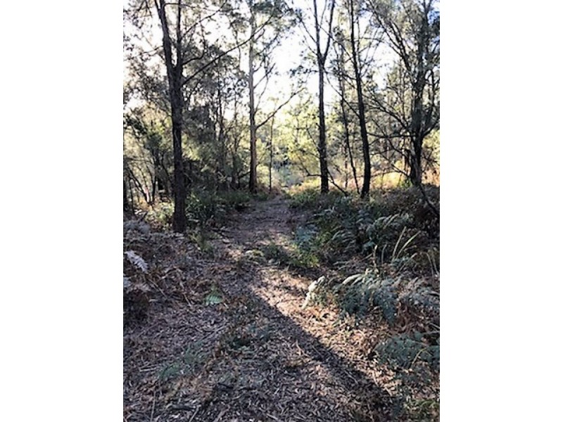 253 Old Bangor Tram Road, Mount Direction TAS 7252