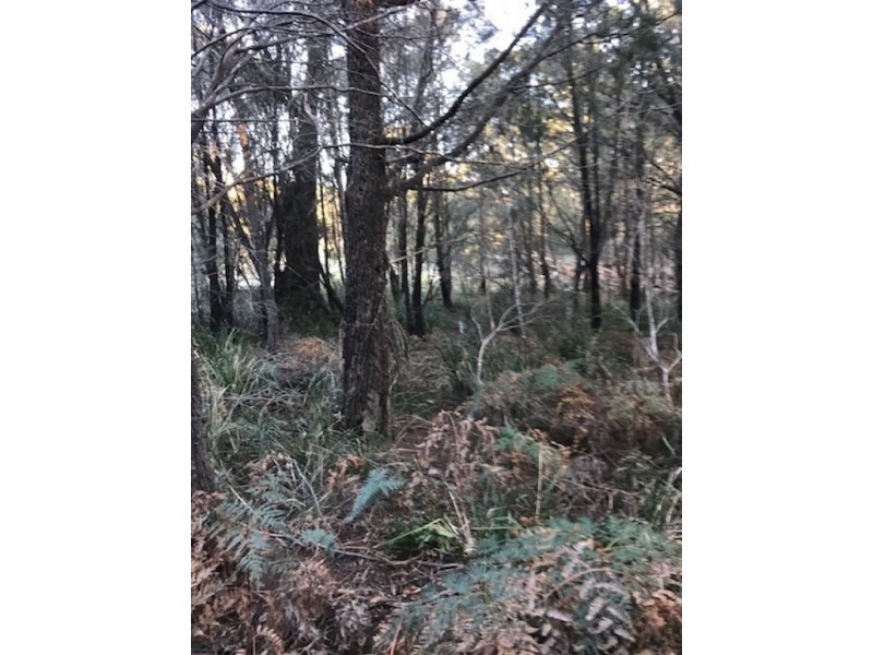 253 Old Bangor Tram Road, Mount Direction TAS 7252