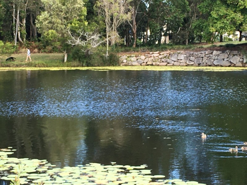 132 University Way, Sippy Downs QLD 4556