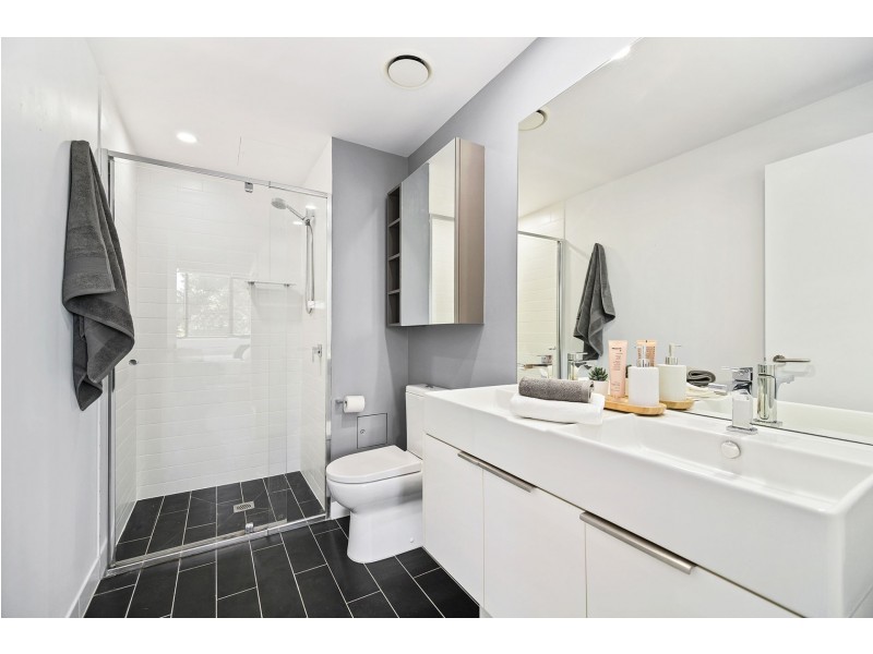 5/31 Peter Doherty Street, Dutton Park QLD 4102