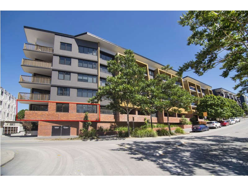 5/31 Peter Doherty Street, Dutton Park QLD 4102