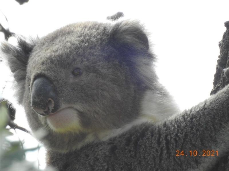 26 First Street, Paradise Beach VIC 3851