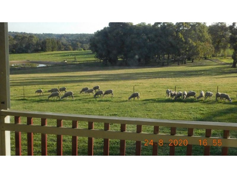 169 santa gertrudis drive, Lower Chittering WA 6084