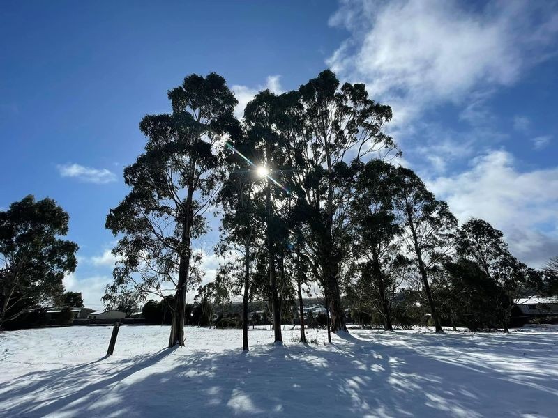 35 English Street, Waratah TAS 7321