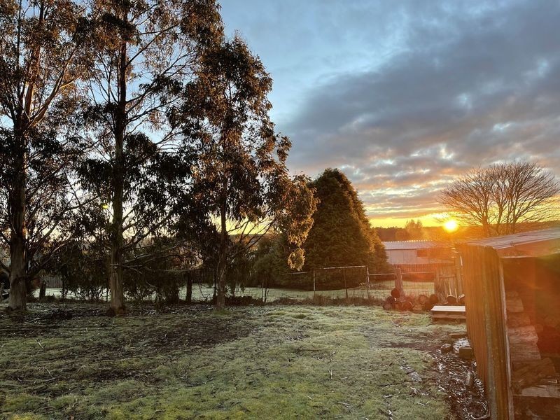 35 English Street, Waratah TAS 7321