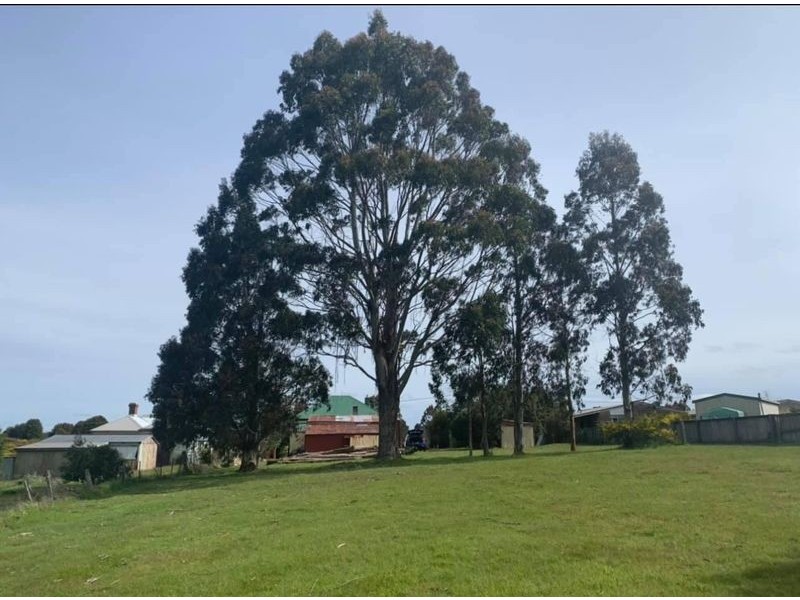 35 English Street, Waratah TAS 7321