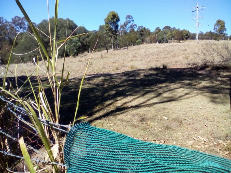 11535 Mt Lindesay Hwy, Palen Creek QLD 4287