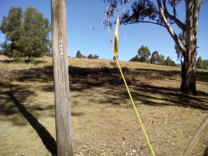 11535 Mt Lindesay Hwy, Palen Creek QLD 4287