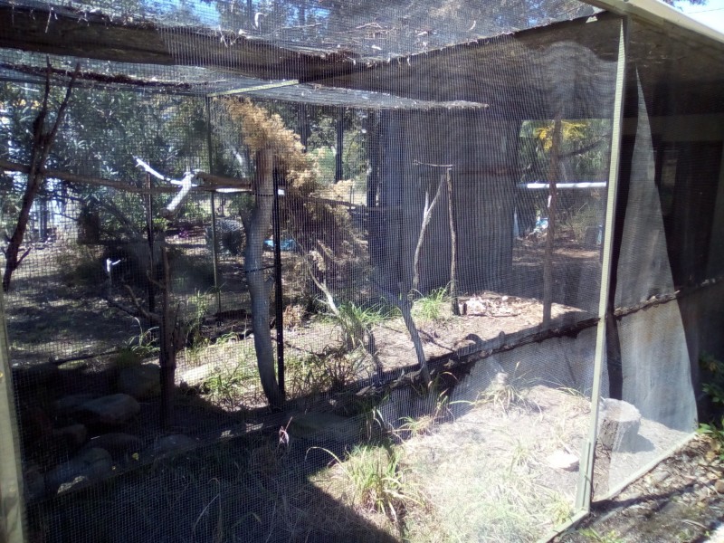 11535 Mt Lindesay Hwy, Palen Creek QLD 4287