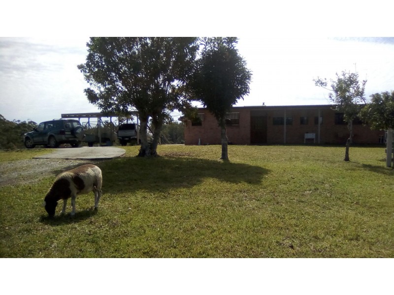 149 The Old Coach Road, Batar Creek NSW 2439