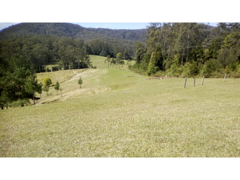 149 The Old Coach Road, Batar Creek NSW 2439