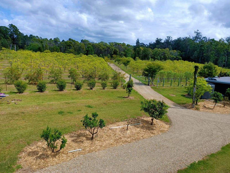 90 West Lanitza Rd, Lanitza NSW 2460