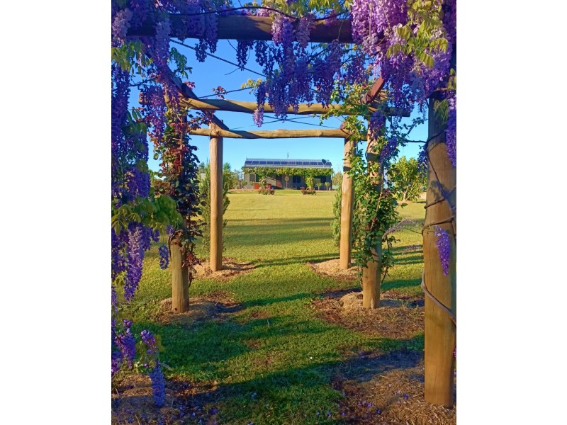 90 West Lanitza Rd, Lanitza NSW 2460