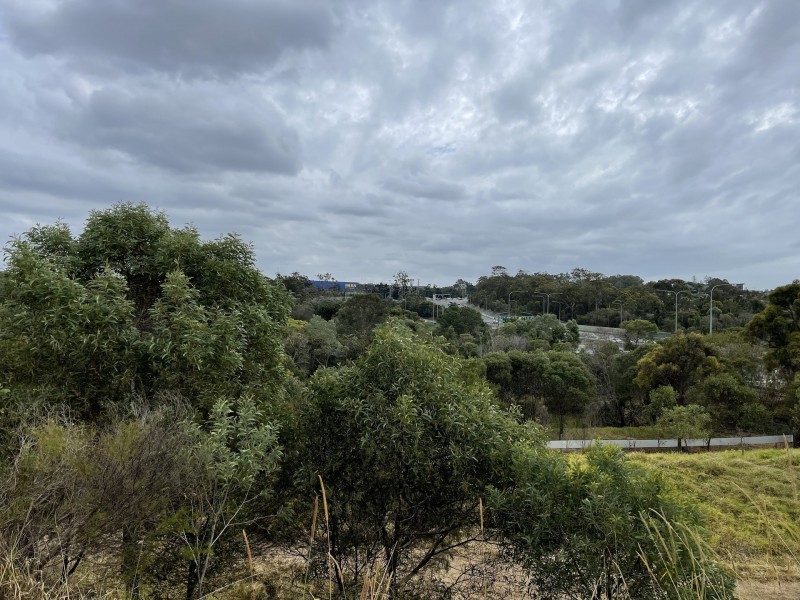 1 Venetian Crt, Griffin QLD 4503