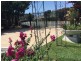 4 Sundew crescent, Upper Coomera QLD 4209