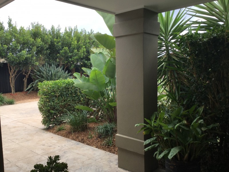 4 Sundew crescent, Upper Coomera QLD 4209