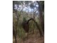 Girralong NSW 2449