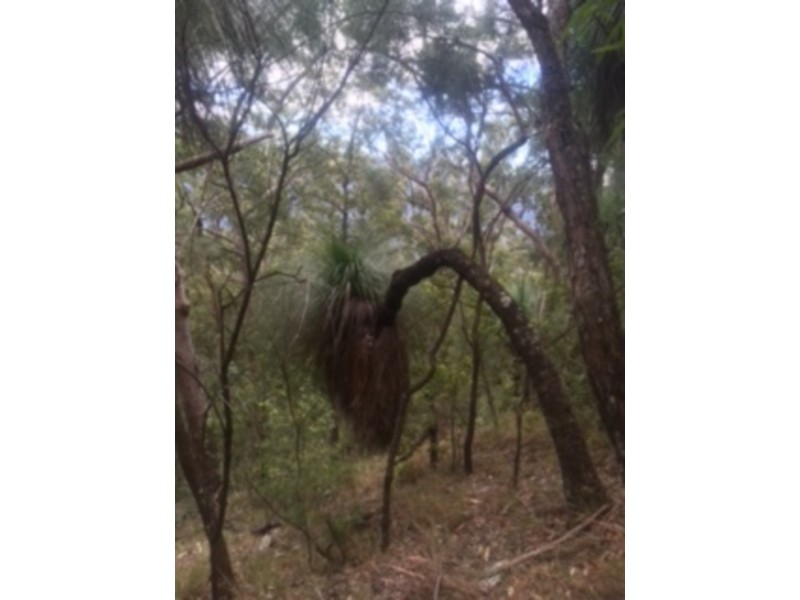Girralong NSW 2449