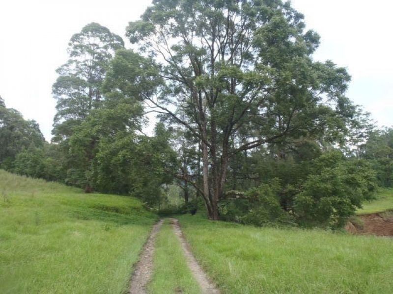 Girralong NSW 2449