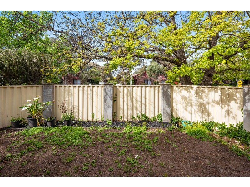 1/2D Ireland Street, Burwood VIC 3125